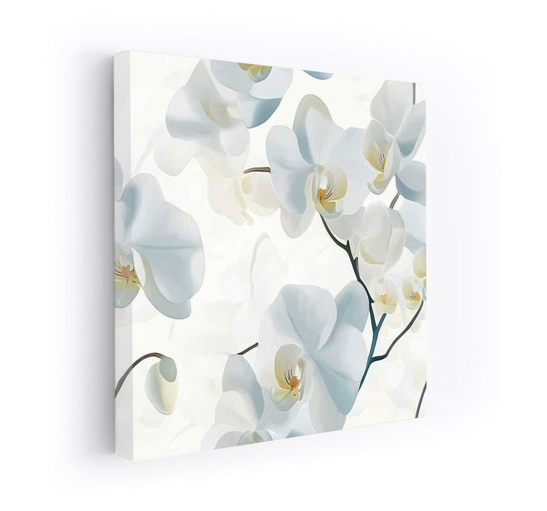 White Phalaenopsis Orchids: Tenderness and Sophistication