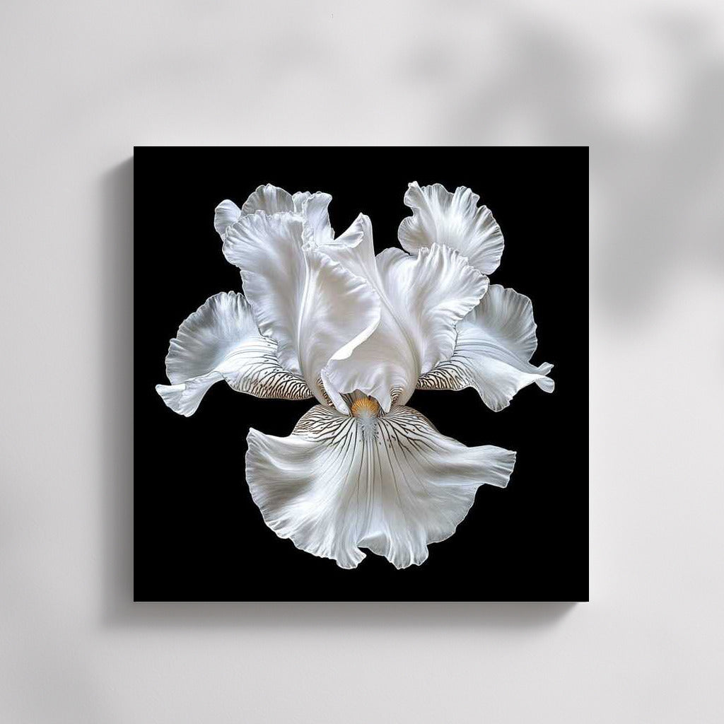 Snow White Iris: Nature's Glow in White Iridescent Pearl 1