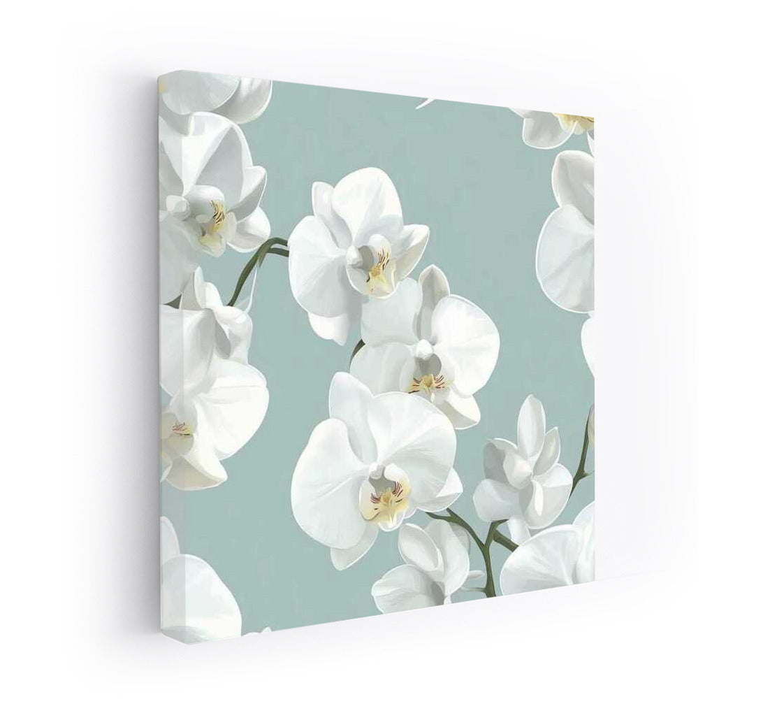 White Phalaenopsis Orchid: Elegance and Sophistication