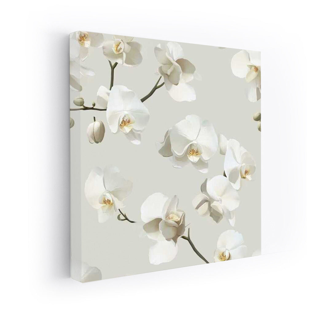 White Phalaenopsis Orchid: Elegance and Harmony in the Interior