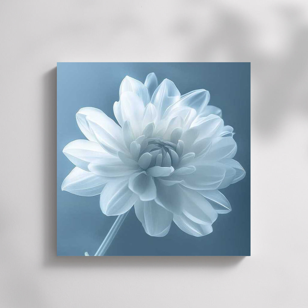 White Dahlia: Tenderness and Sophistication