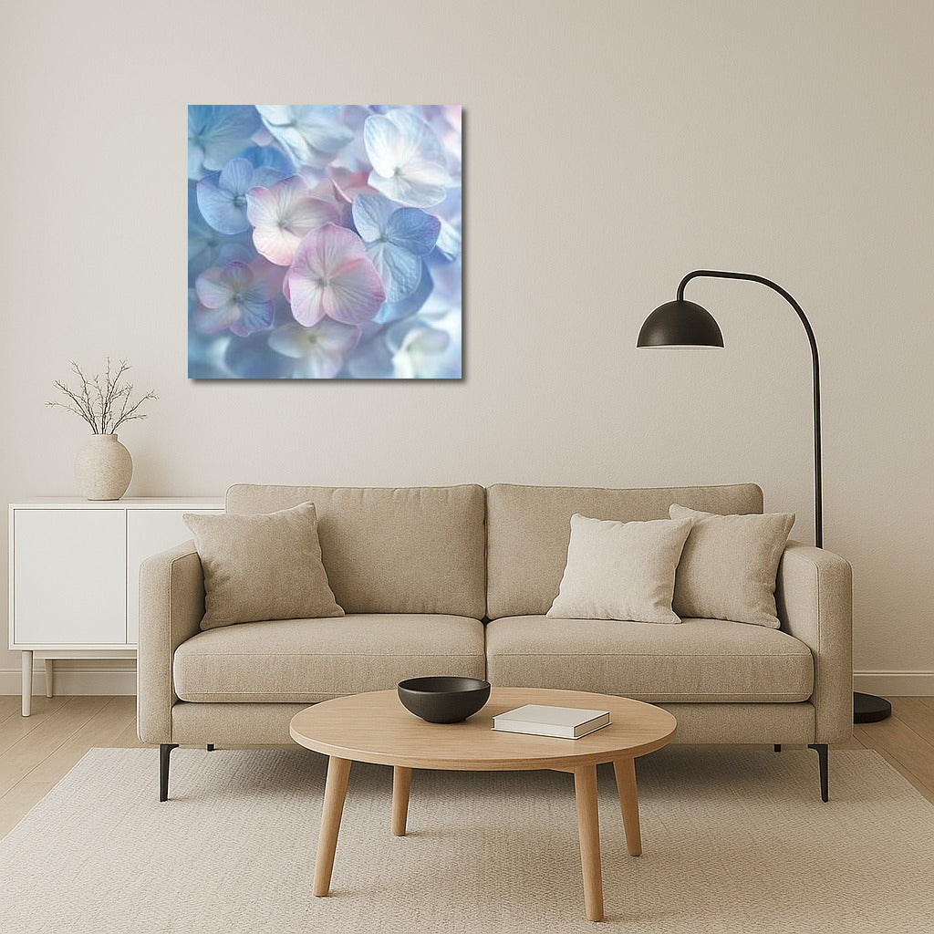 Delicate Inflorescences of Hydrangea Annabelle: Transparent Lightness