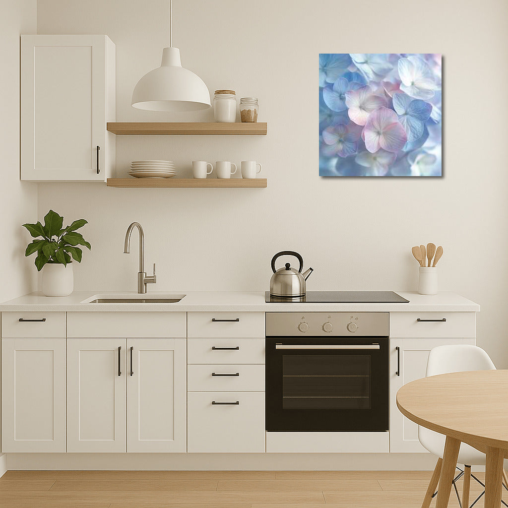 Delicate Inflorescences of Hydrangea Annabelle: Transparent Lightness