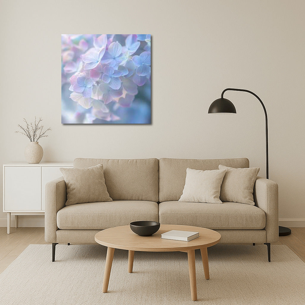 Tenderness of Hydrangea: Delicate Flowers of Hydrangea Macrophylla