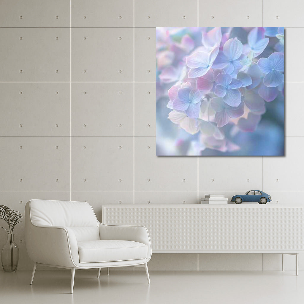 Tenderness of Hydrangea: Delicate Flowers of Hydrangea Macrophylla