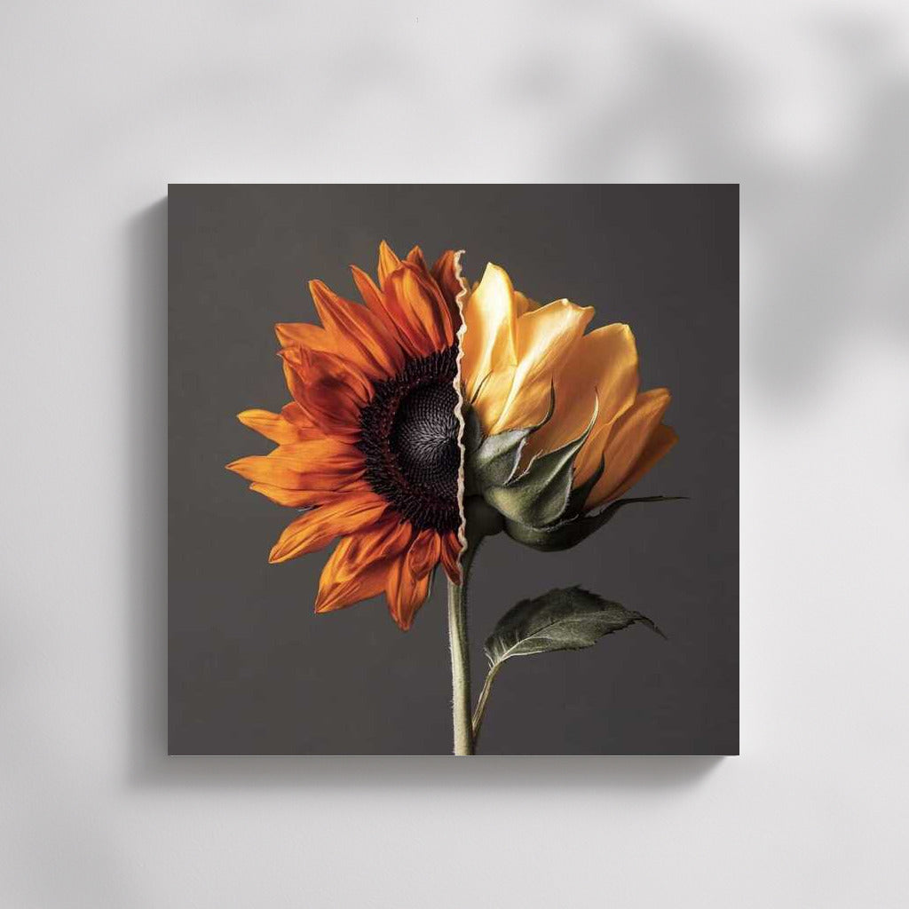 Hybrid Harmony: Half-Dormouse and Half-Rose