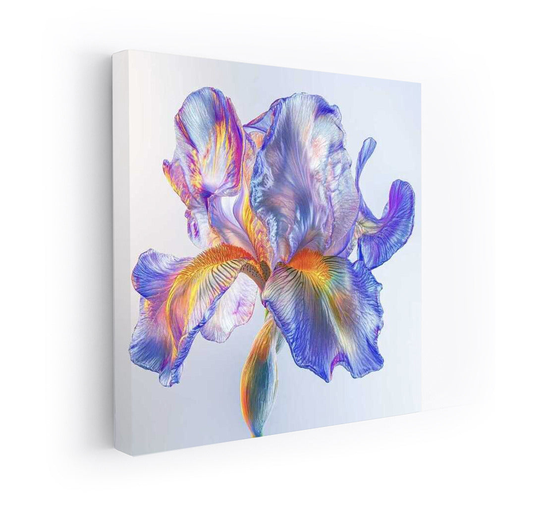 Iridescent Hydrangea: Floral Symphony