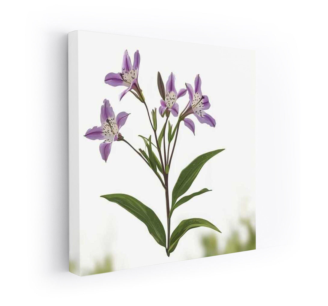 Flower Symphony: Lilies of the Casablanca variety