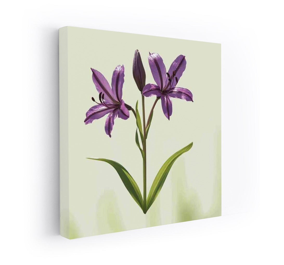 Casablanca Lily: Mistake in Flower Paradise