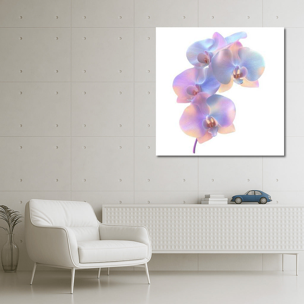 Phalaenopsis Orchid Bloom: The Splendor of Nature