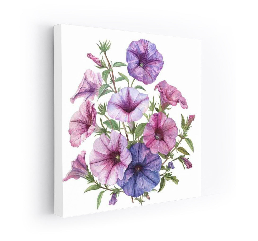 Bouquet of petunias 'Grandijor' in purple and pink tones