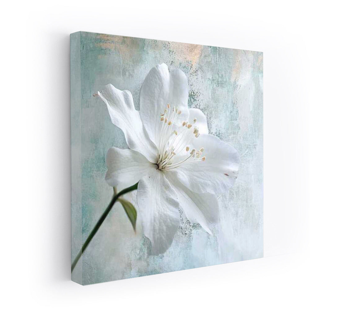 Elegant White Hibiscus: Delicate Flower for Interior