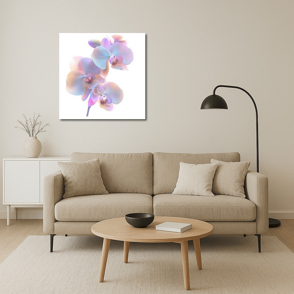 Phalaenopsis Orchid: Delicate Bloom on Canvas