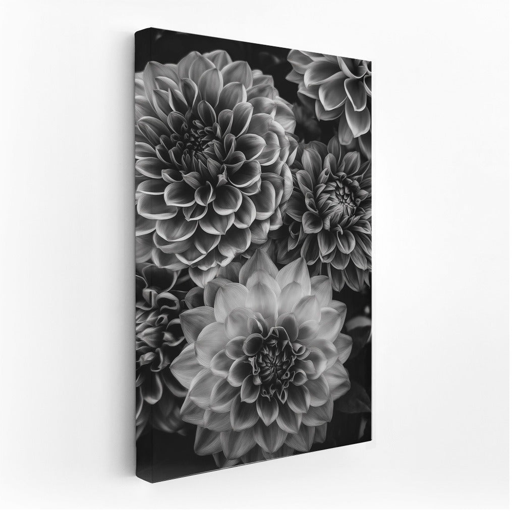 Black and White Dahlias: The Elegance of Floral Art
