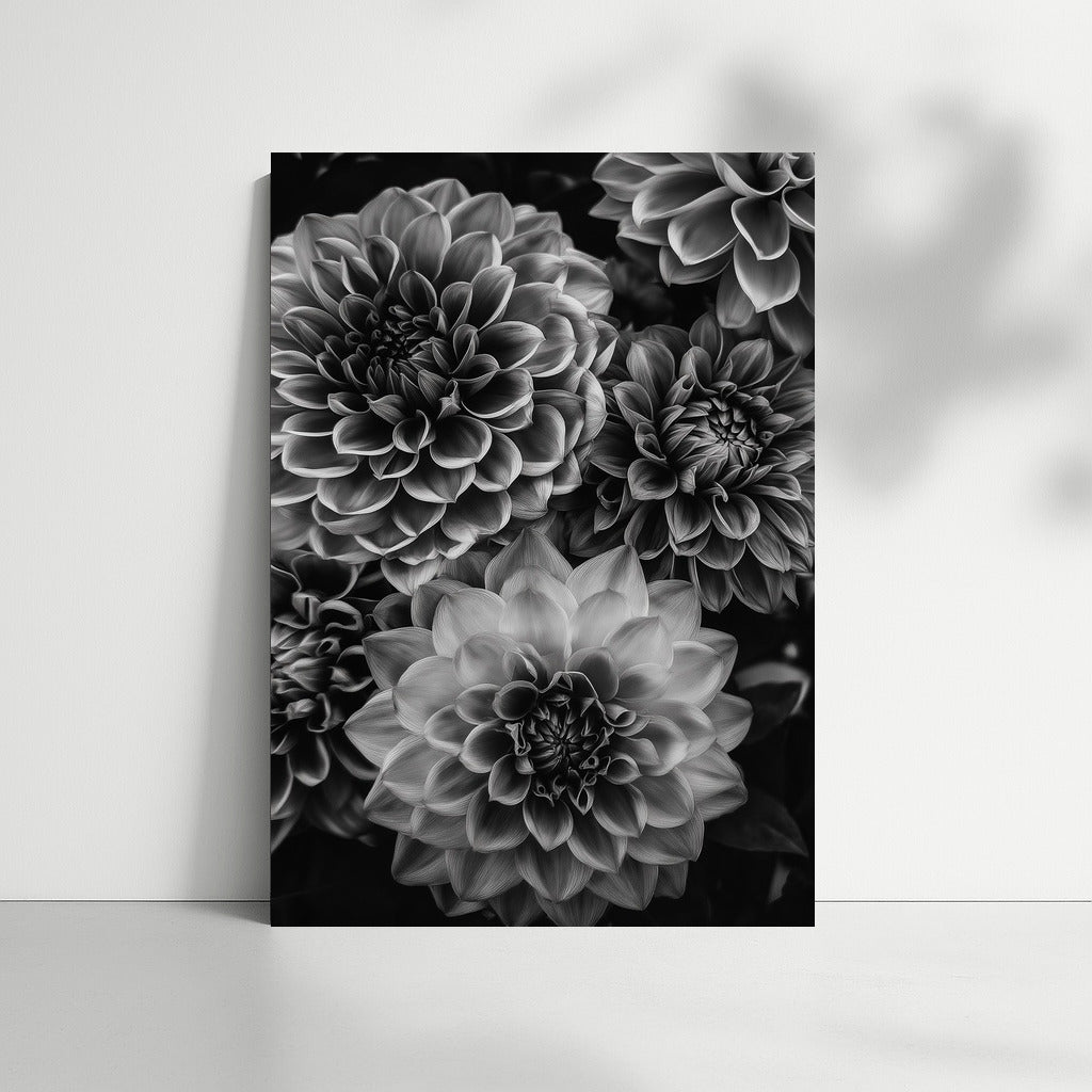 Black and White Dahlias: The Elegance of Floral Art