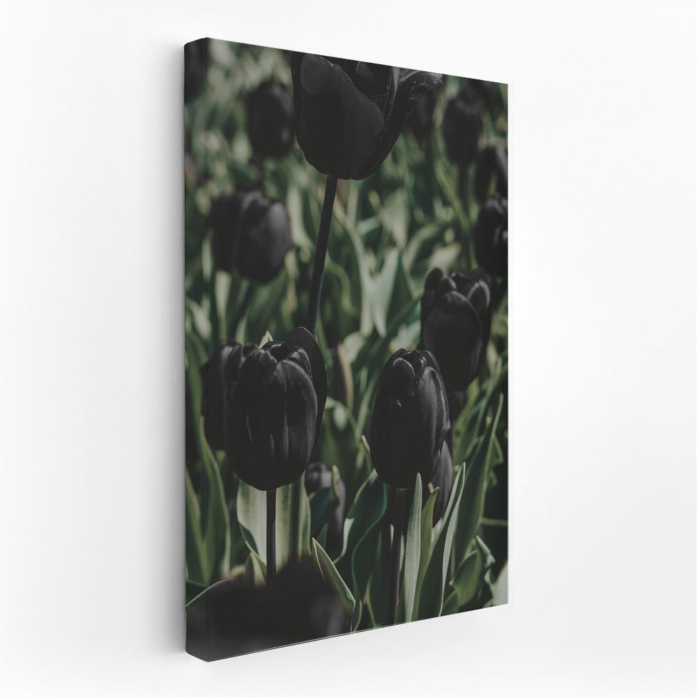 Black Tulips: Flower Poetry in Wall Decor