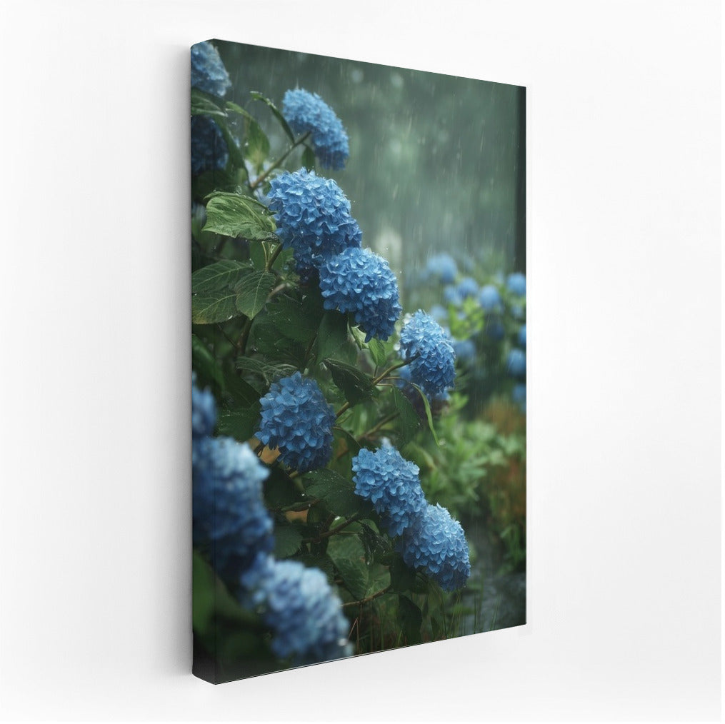 Blue Hydrangeas: Floral Symphony in the Rain