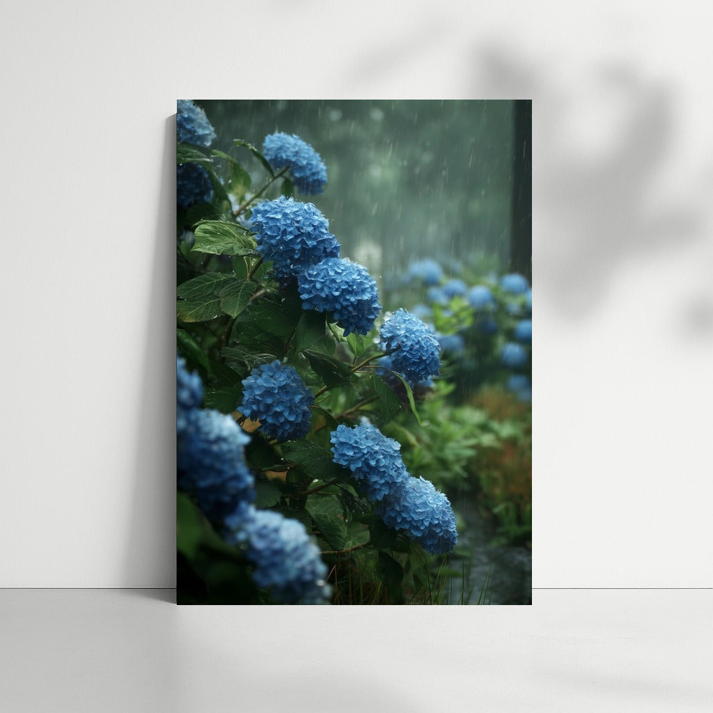 Blue Hydrangeas: Floral Symphony in the Rain