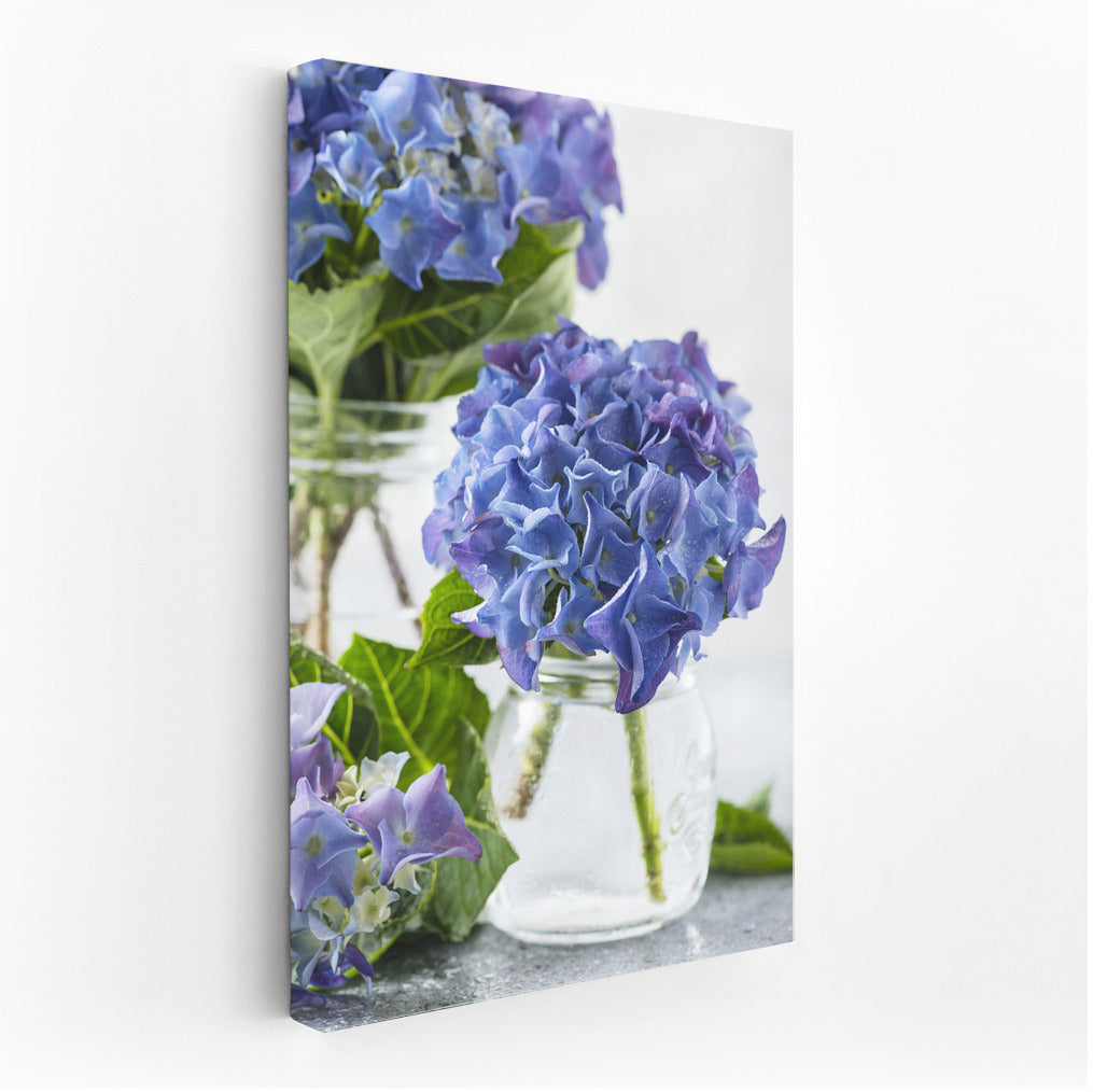 Blue Hydrangeas: Delicate Flowers for the Interior