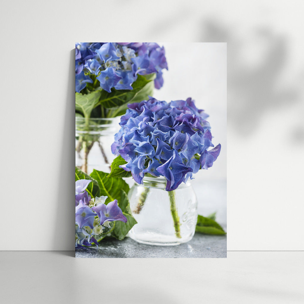 Blue Hydrangeas: Delicate Flowers for the Interior