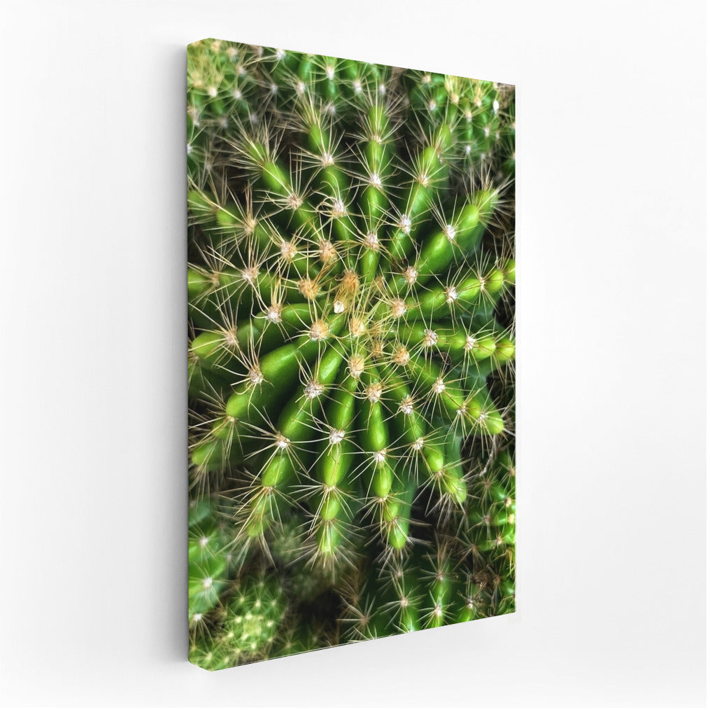 Searing Symphony: Cactus in Green Splendor