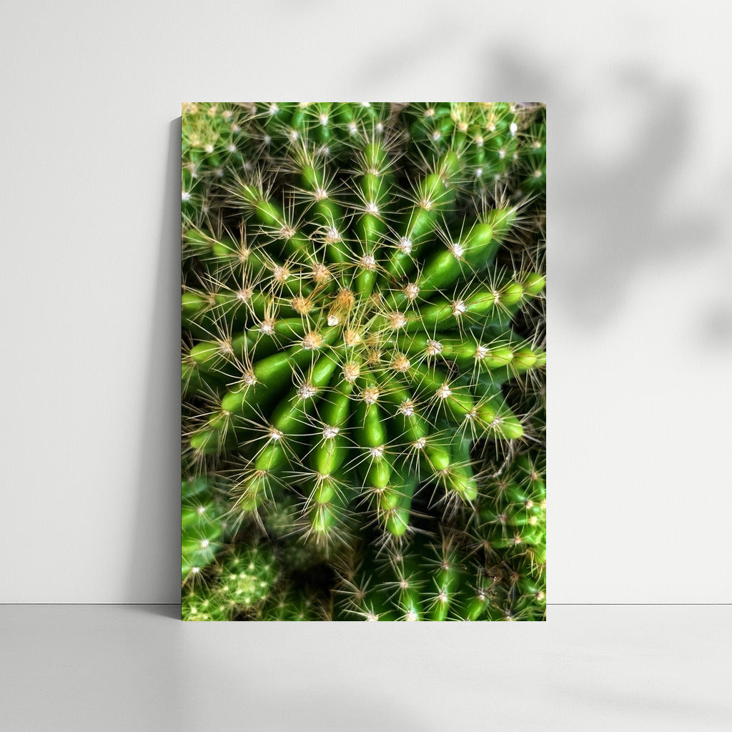 Searing Symphony: Cactus in Green Splendor