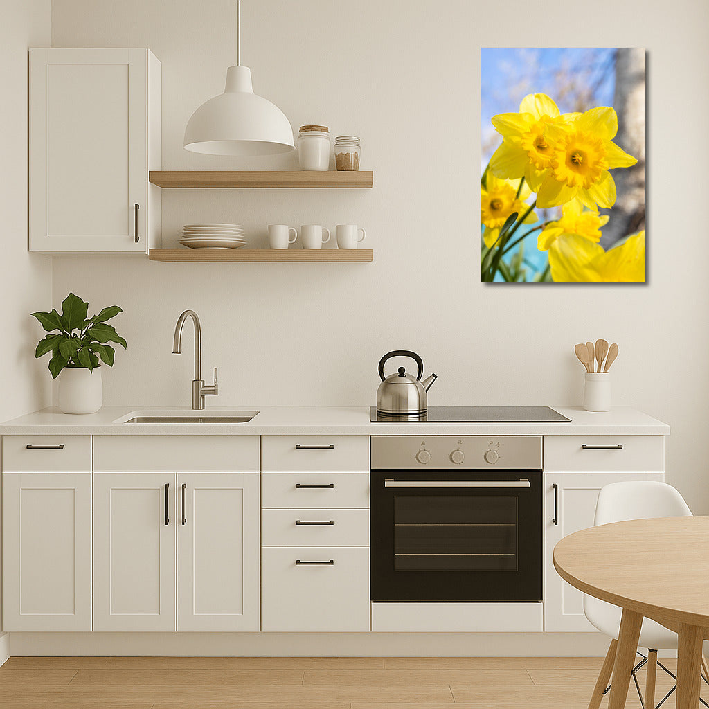 Spring Dance: Bright Daffodils of the Tet-a-Tet variety