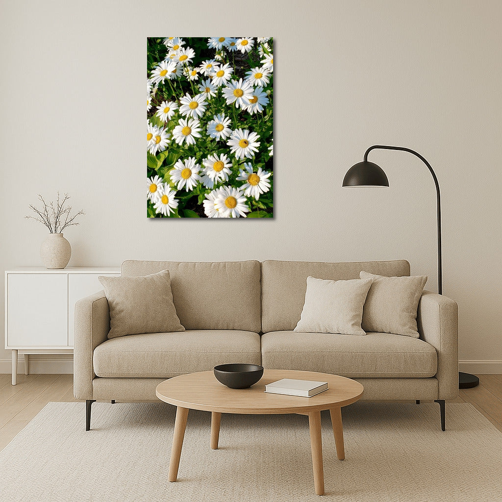 Bright Daisies: Freshness and Harmony for the Interior