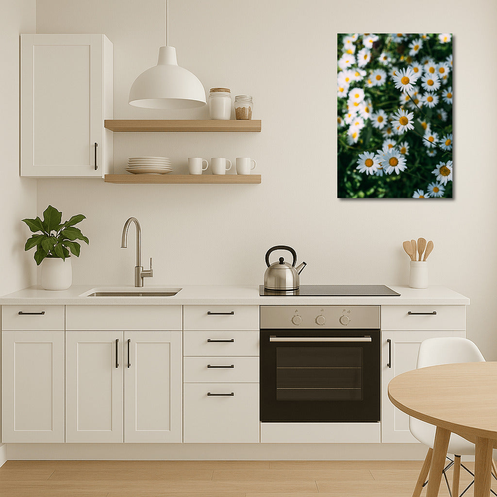 The Charm of Daisies: A Close Look at the Floral World