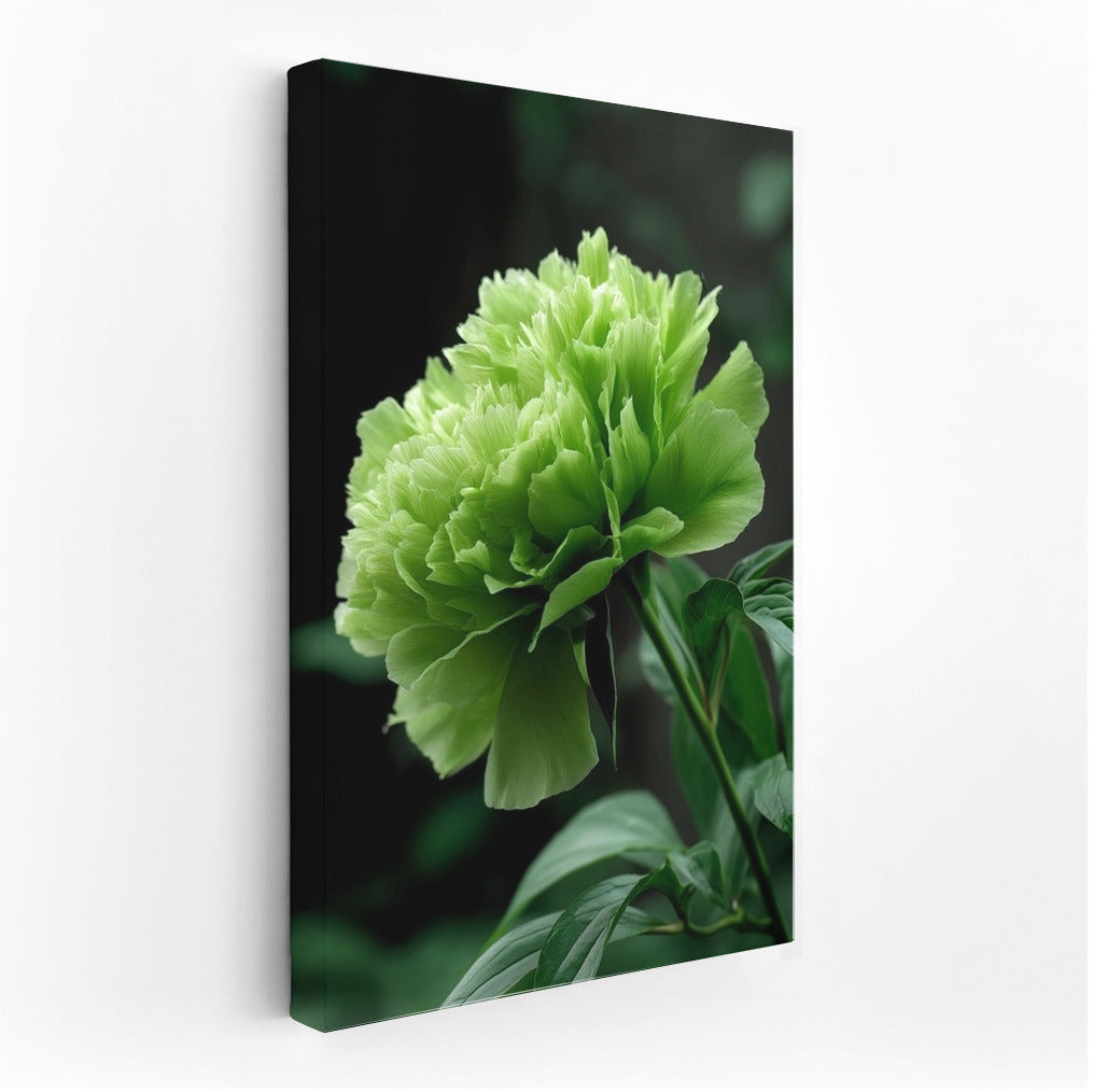 Freshness and Harmony: Green Flower