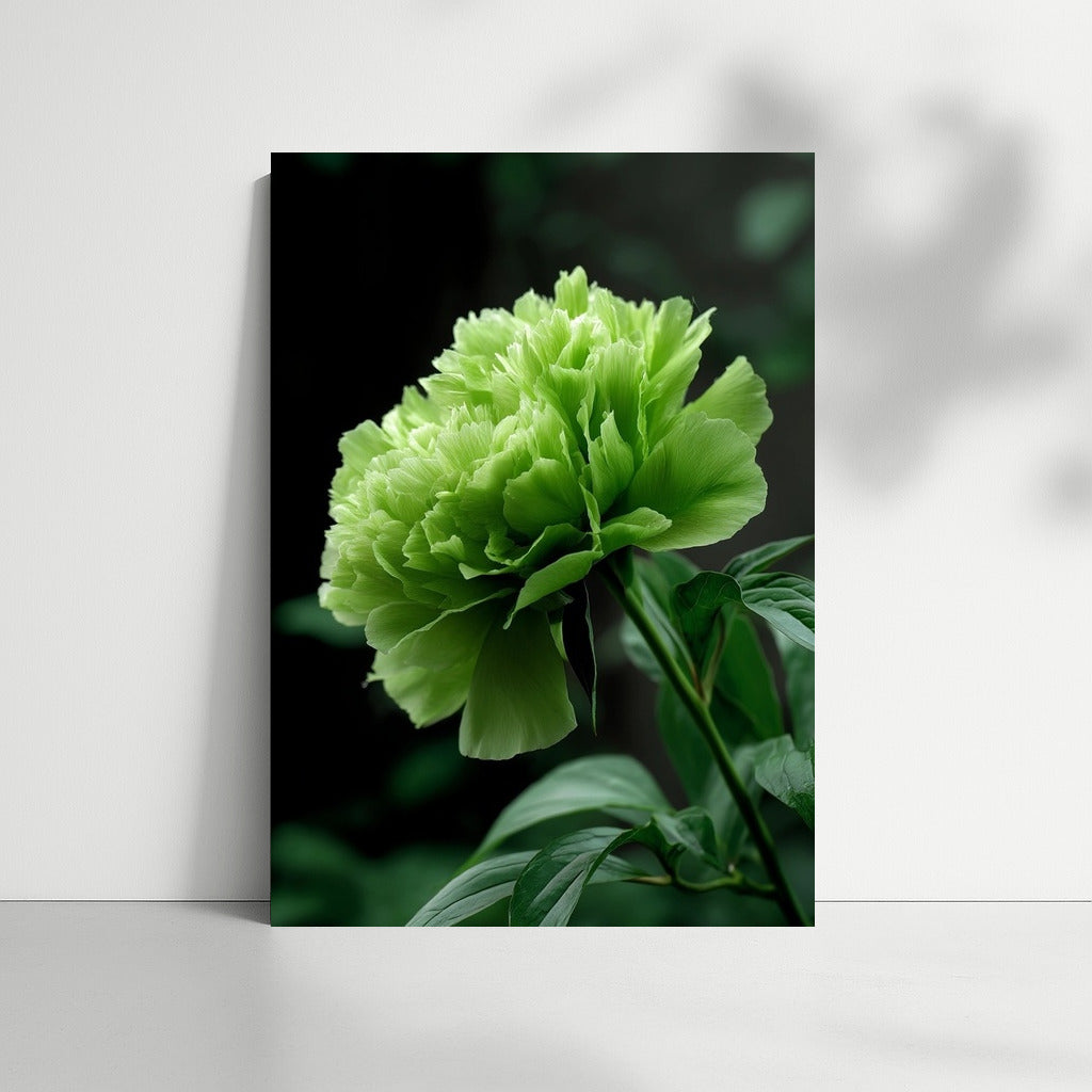 Freshness and Harmony: Green Flower
