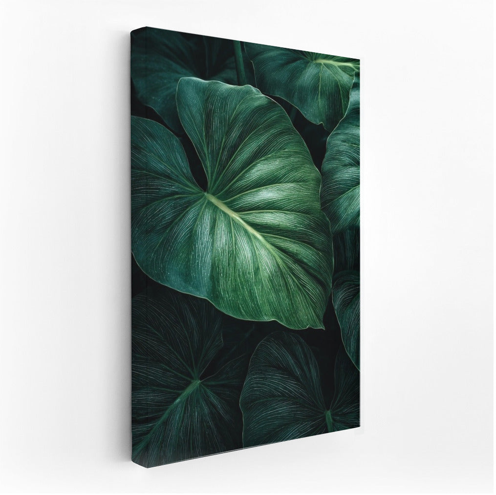 Philodendron Symphony: Elegant Leaves for the Interior