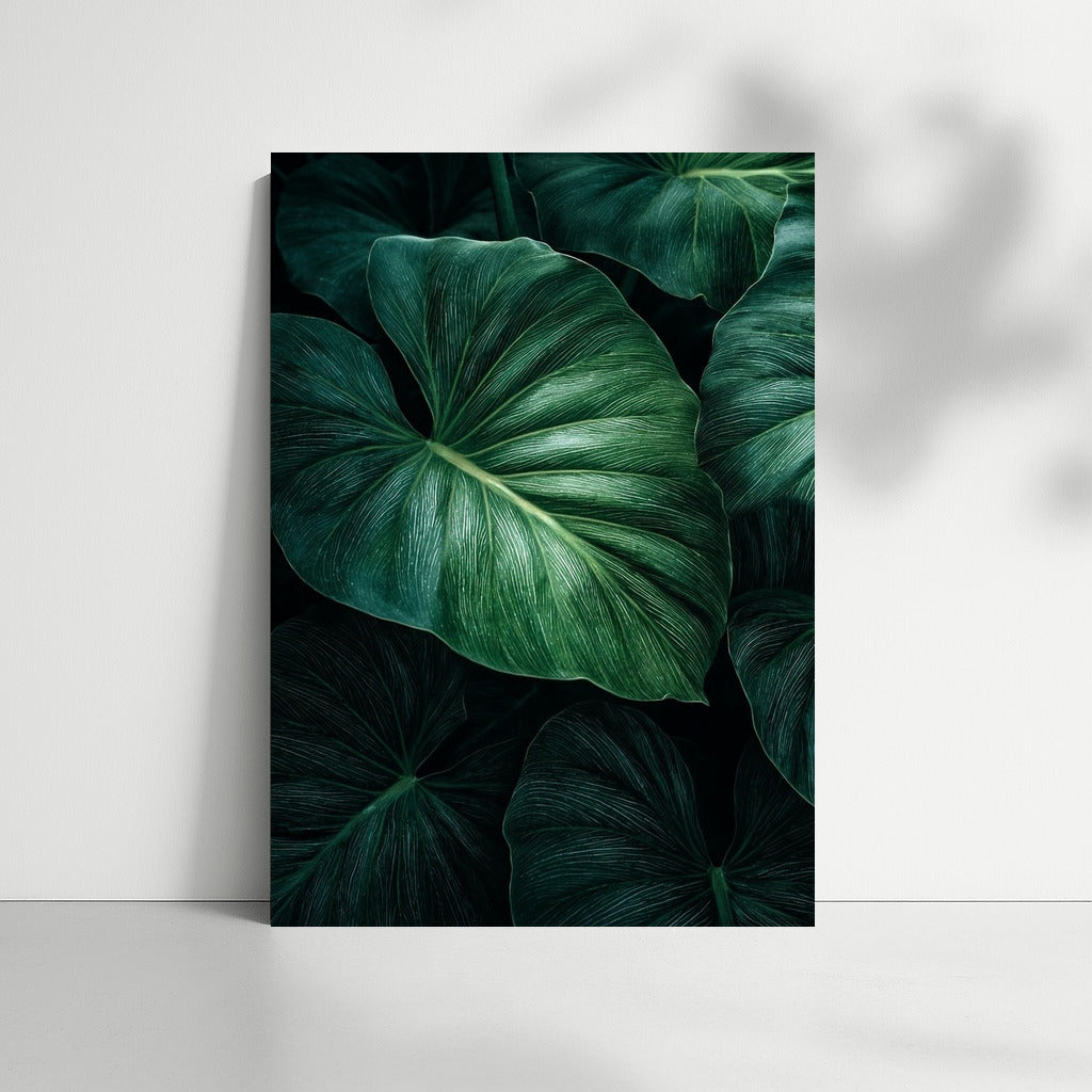 Philodendron Symphony: Elegant Leaves for the Interior
