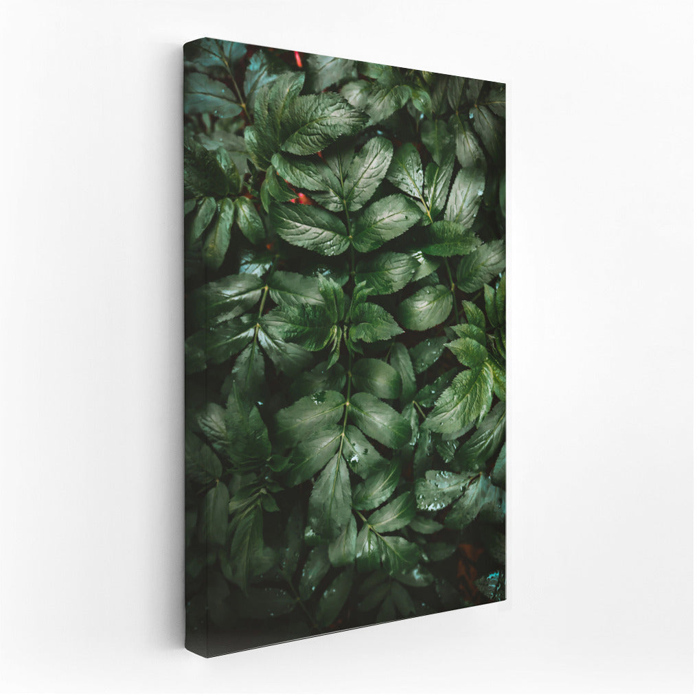 Floral Oasis: Lush Greenery and Hydrangeas for the Interior