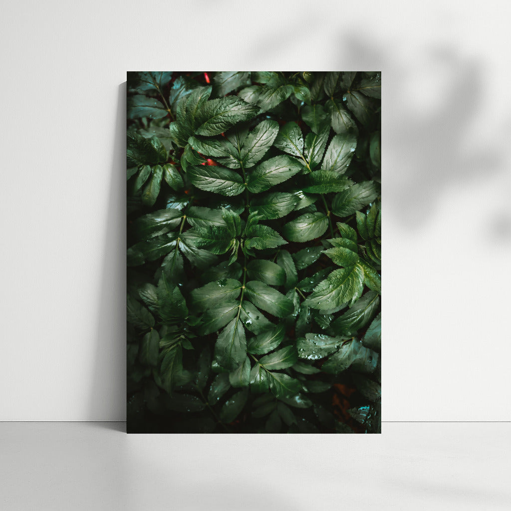 Floral Oasis: Lush Greenery and Hydrangeas for the Interior