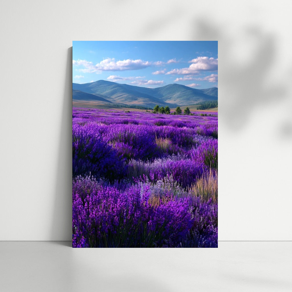 Lavender Flower Field: Inspiration and Freshness of Nature