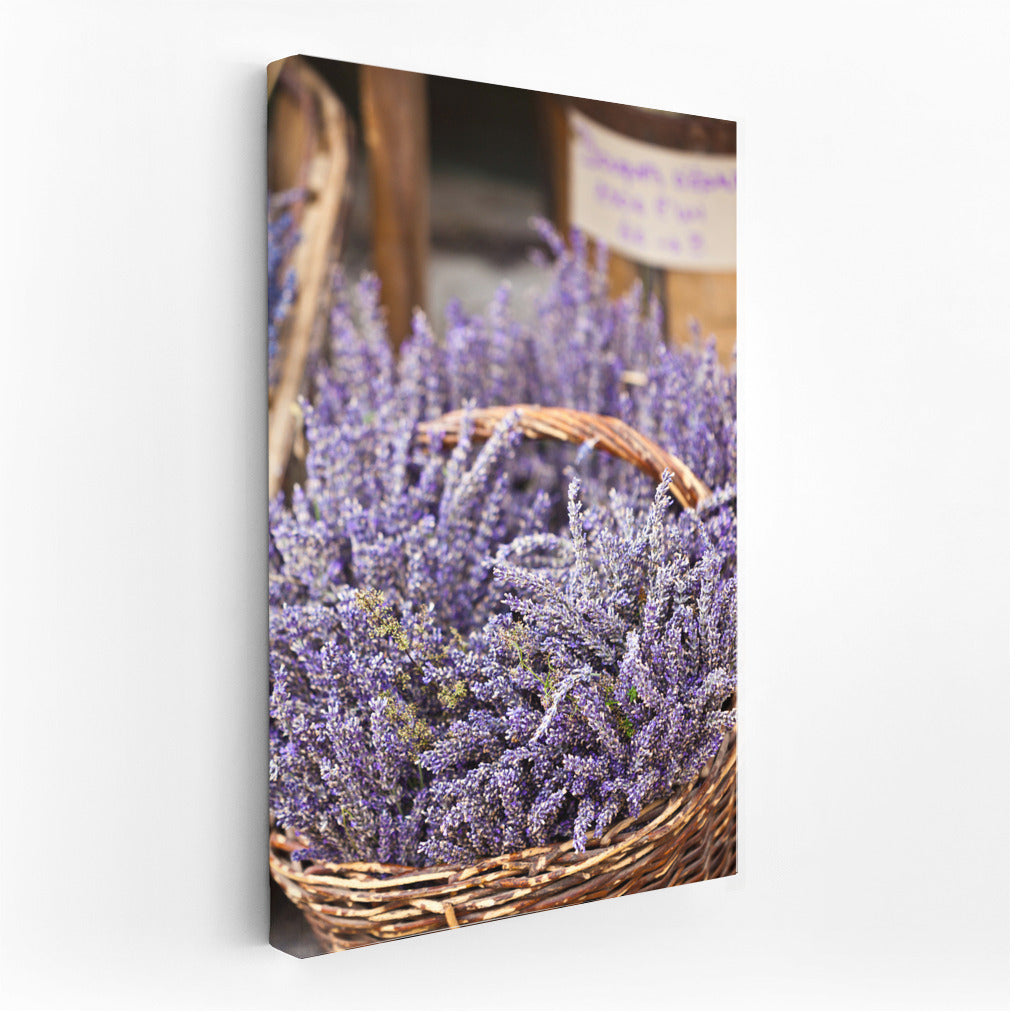 Lavender Flowers: The Magic of Provence on Your Wall
