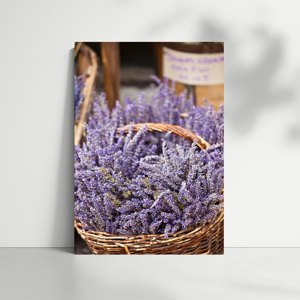 Lavender Flowers: The Magic of Provence on Your Wall