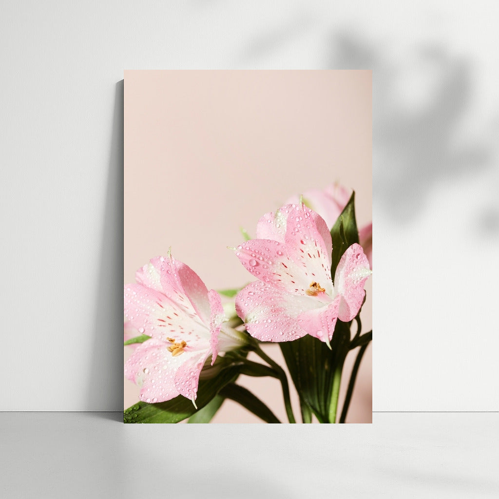 Alstroemerias in Dew: Watercolor Flowers for Interior