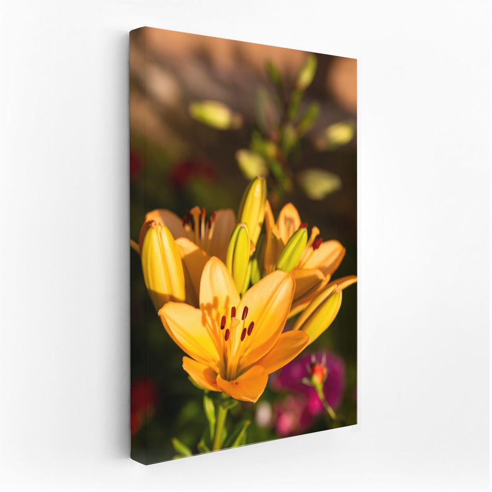 Golden Glow of Lilies: Bright Floral Decor for Interior