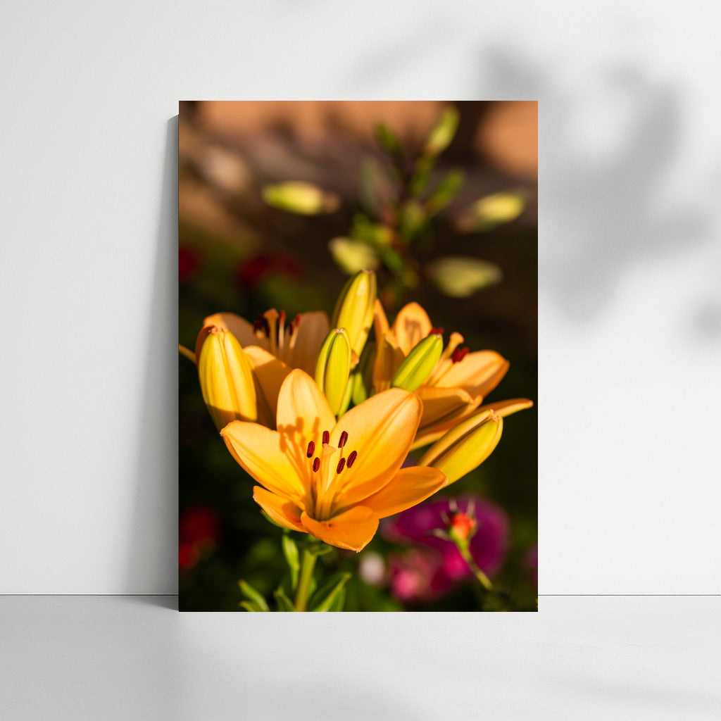 Golden Glow of Lilies: Bright Floral Decor for Interior