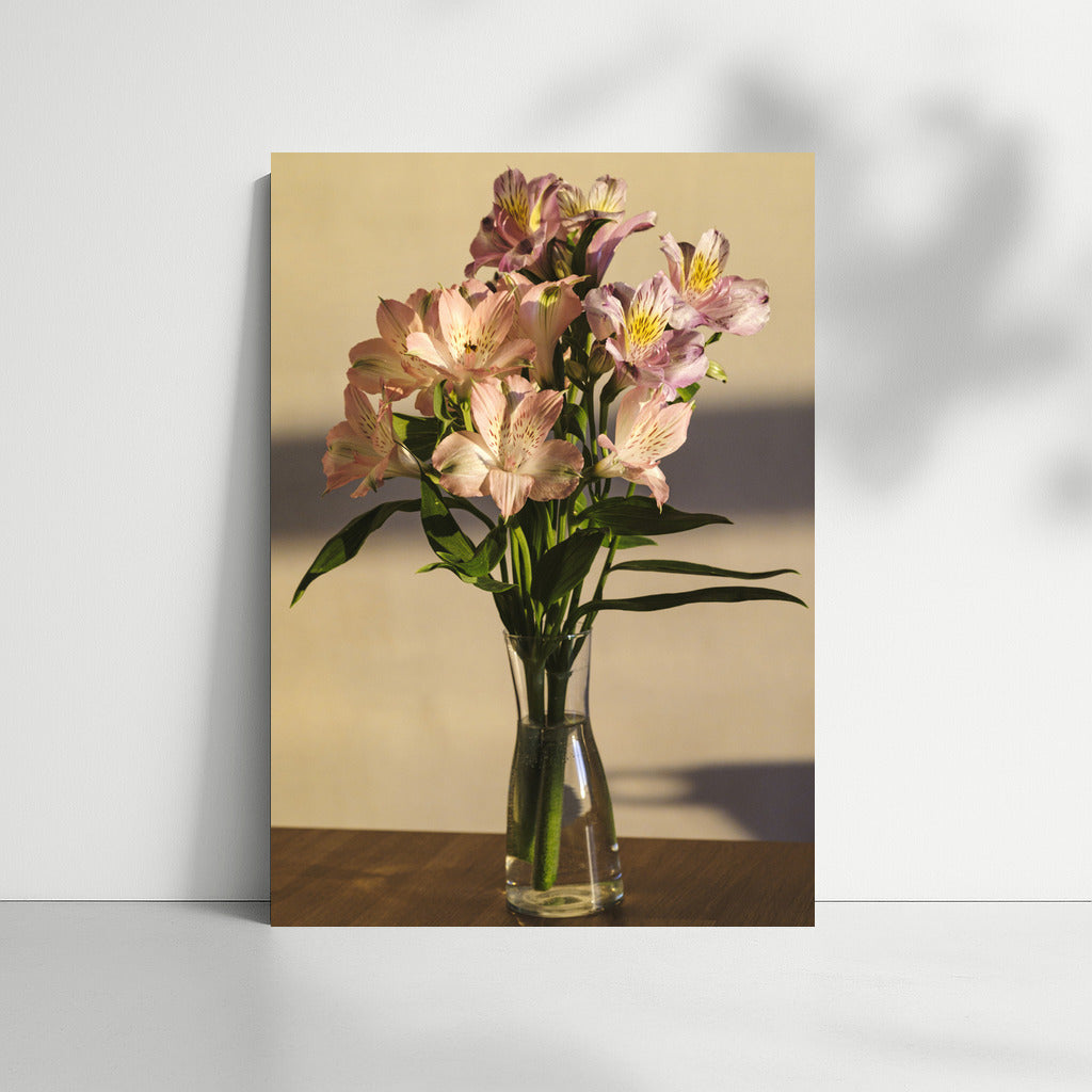 Alstroemerias: Delicate Flowers for an Elegant Interior
