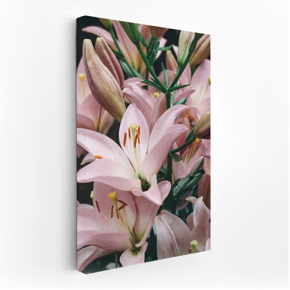 Lilies in Bloom: Tenderness and Natural Beauty for Your Interior