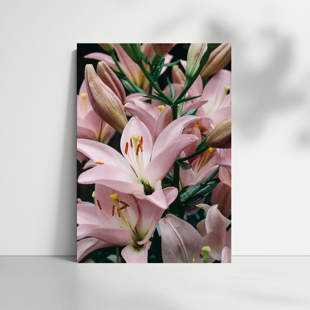 Lilies in Bloom: Tenderness and Natural Beauty for Your Interior
