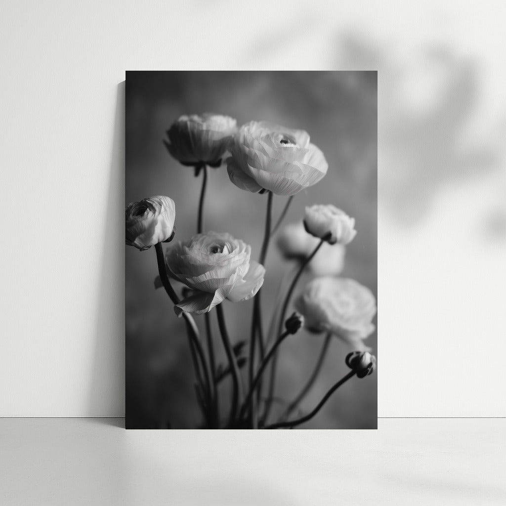 Delicate Ranunculus: Elegant Floral Decoration for the Interior