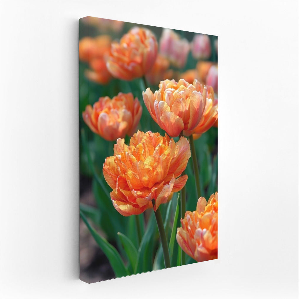 Peach Tulips: Spring Charm for the Interior