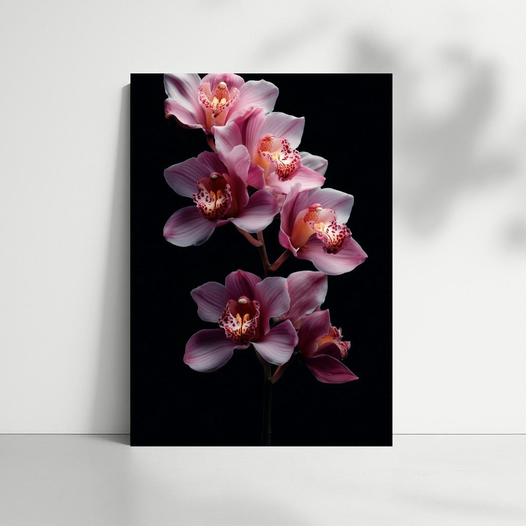 Pink Orchids: Elegance and Comfort in the Interior