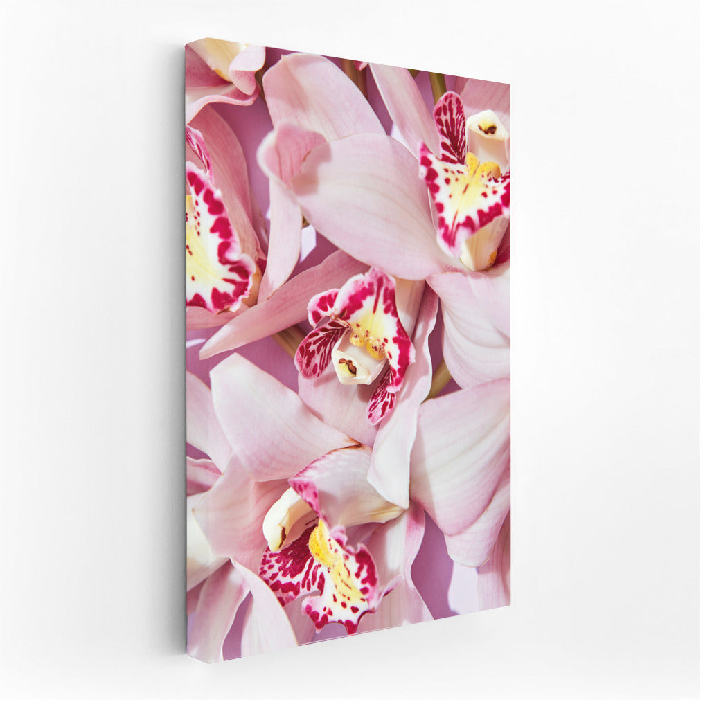 Orchid Bloom: Elegant Floral Decor for Interior