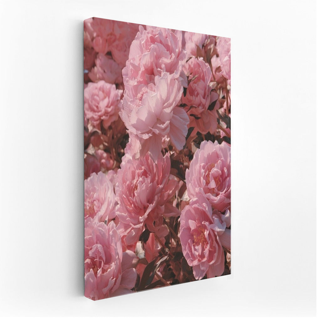 Peonies Sarah Bernhardt: Pink Floral Charm for the Interior