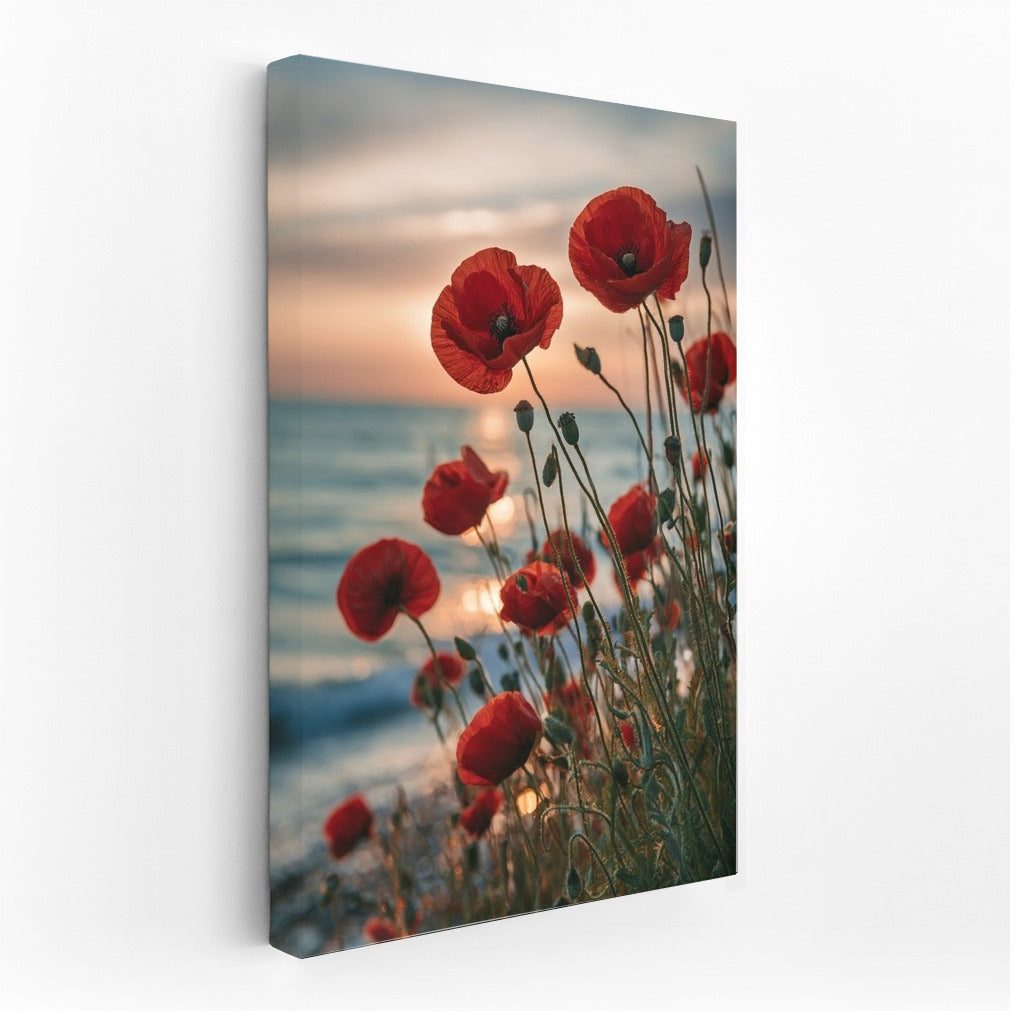 Sunset Poppy: Red Flower on Sea Background